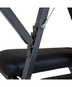 Массажные столы:  Кресло для массажа Mizomed Comfort черный фотографии