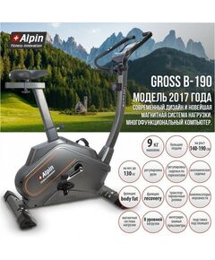 Купить Велотренажер Alpin Gross B-190, изображение 5 в интернет-магазине Irkshop.ru