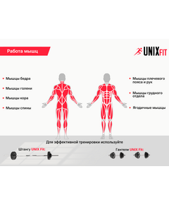 Купить Скамья силовая со стойками UNIXFIT BENCH 120, изображение 5 в интернет-магазине Irkshop.ru