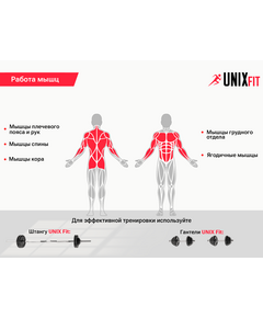 Купить Скамья силовая со стойками UNIXFIT BENCH 130, изображение 6 в интернет-магазине Irkshop.ru