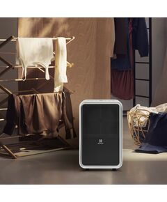 Очистители, увлажнители и осушители воздуха: Осушитель воздуха Electrolux EDH-15L фотографии