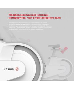 Купить Велотренажер Yesoul BV1-B-21.5 черный дисплей 21.5", изображение 7 в интернет-магазине Irkshop.ru