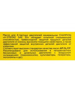 Купить Масло 4-тактное минеральное Champion SAE 30 1 л [952852], изображение 3 в интернет-магазине Irkshop.ru