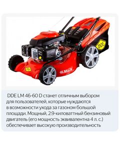 Купить Газонокосилка бензиновая DDE LM 46-60 D [246-647], изображение 15 в интернет-магазине Irkshop.ru