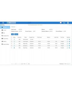 Купить Приложение Yeastar Billing для IP-АТС Yeastar, изображение 3 в интернет-магазине Irkshop.ru