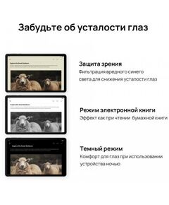 Планшеты: Планшет Huawei MatePad SE 4GB LTE 128Gb AGS5-L09 Black [53013NVG] фотографии