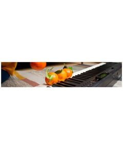 Купить Цифровое пианино Casio CDP-S360BK, изображение 6 в интернет-магазине Irkshop.ru