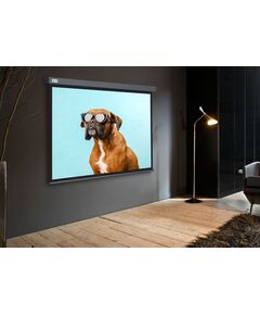 Купить Экран настенно-потолочный рулонный Cactus CS-PSW-149X265-SG Wallscreen, 149.4x265.7см, 16:9, серый, изображение 2 в интернет-магазине Irkshop.ru