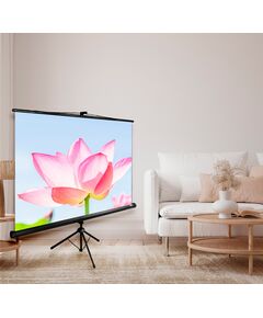 Купить Экран напольный рулонный Cactus CS-PST-104x186 Triscreen, 104.4x186см, 16:9, черный, изображение 2 в интернет-магазине Irkshop.ru