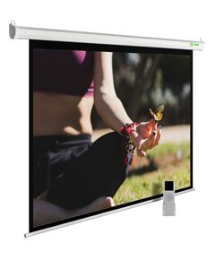 Купить Моторизованный экран настенно-потолочный рулонный Cactus CS-PSME-200x200-WT MotoExpert, 200x200см, 1:1, белый в интернет-магазине Irkshop.ru