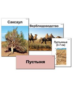 Купить Модель-аппликация "Природные зоны России" (ламинированная) в интернет-магазине Irkshop.ru