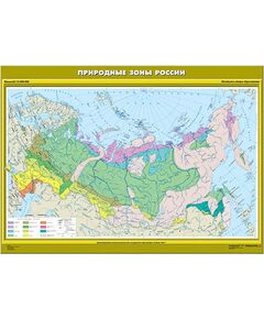 Купить Учебн. карта "Природные зоны России. Начальная школа" (100*140) в интернет-магазине Irkshop.ru