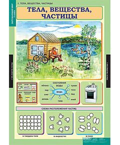 Купить Таблицы демонстрационные "Окружающий мир 3 кл." в интернет-магазине Irkshop.ru