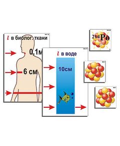 Купить Модель-аппликация "Явление радиоактивности" (ламинированная) в интернет-магазине Irkshop.ru