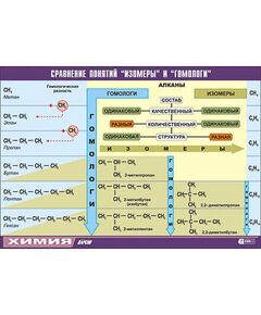 Купить Таблица демонстрационная "Сравнение понятий изомер и гомолог" (винил 100х140) в интернет-магазине Irkshop.ru