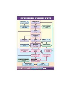 Купить Таблица демонстрационная "Генетическая связь органических веществ" (винил 100x140) в интернет-магазине Irkshop.ru