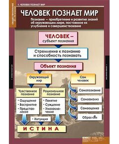 Купить Таблицы демонстрационные "Обществознание 10-11 класс" в интернет-магазине Irkshop.ru