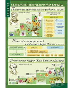 Купить Таблицы демонстрационные "Биология 10-11 классы. Эволюционное учение" в интернет-магазине Irkshop.ru