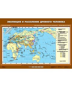 Купить Учебн. карта "Эволюция и расселение древнего человека" (70*100) в интернет-магазине Irkshop.ru