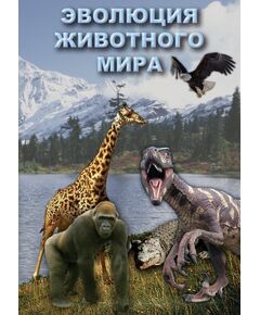 Купить Компакт-диск "Эволюция животного мира" в интернет-магазине Irkshop.ru