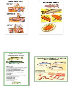 Купить Плакаты ПРОФТЕХ "Разделка и обработка рыбной продукции" (8 пл, винил, 70х100) в интернет-магазине Irkshop.ru