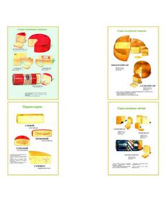 Купить Плакаты ПРОФТЕХ "Ассортимент сыров" (9 пл, винил, 70х100) в интернет-магазине Irkshop.ru