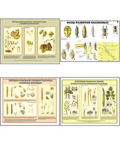 Купить Плакаты ПРОФТЕХ "Вредители и болезни с/х культур и меры борьбы с ними" (11 пл, винил, 70х100) в интернет-магазине Irkshop.ru