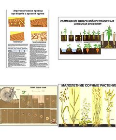Купить Плакаты ПРОФТЕХ "Агрономия" (5 пл, винил, 70х100) в интернет-магазине Irkshop.ru