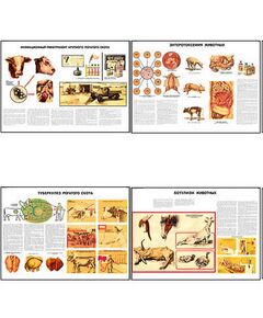 Купить Плакаты ПРОФТЕХ "Меры борьбы с заразными заболеваниями с/х животных и птицы" (23 пл, винил, 70х100) в интернет-магазине Irkshop.ru
