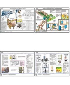 Купить Плакаты ПРОФТЕХ "Механизация доения коров и первичная обработка молока" (15 пл, винил, 70х100) в интернет-магазине Irkshop.ru