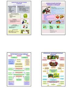 Купить Плакаты ПРОФТЕХ "Классификация овощей и переработка"   (8 пл, винил, 70х100) в интернет-магазине Irkshop.ru