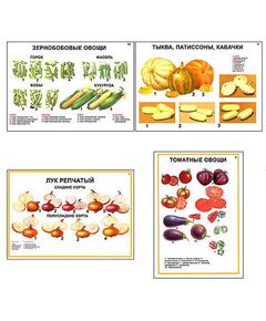 Купить Плакаты ПРОФТЕХ "Ассортимент овощных культур" (12 пл, винил, 70х100) в интернет-магазине Irkshop.ru