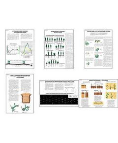 Купить Плакаты ПРОФТЕХ "Полезащитные лесные полосы" (6 пл, винил, 70х100) в интернет-магазине Irkshop.ru