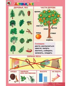 Купить Окружающий мир 5-6 лет. "Животные и растения". в интернет-магазине Irkshop.ru