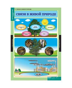 Купить Окружающий мир 3 класс, изображение 3 в интернет-магазине Irkshop.ru