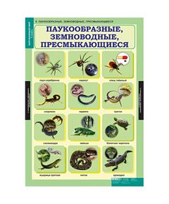 Купить Окружающий мир 3 класс, изображение 6 в интернет-магазине Irkshop.ru