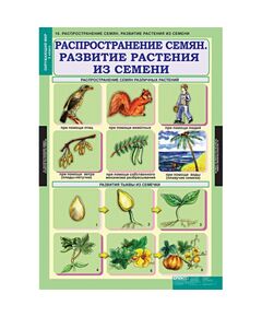 Купить Окружающий мир 3 класс, изображение 10 в интернет-магазине Irkshop.ru