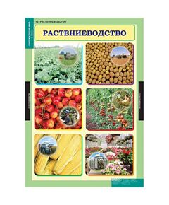 Купить Окружающий мир 3 класс, изображение 12 в интернет-магазине Irkshop.ru