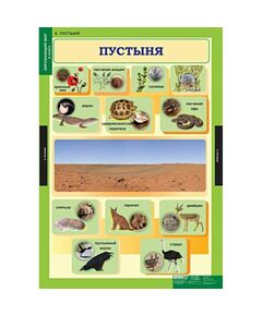 Купить Окружающий мир 4 класс, изображение 6 в интернет-магазине Irkshop.ru