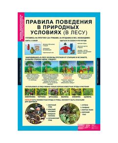 Купить Основы безопасности жизнедеятельности 1-4 классы, изображение 5 в интернет-магазине Irkshop.ru