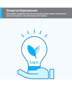 Купить Умная лампа TP-Link Tapo L520E E27 8.7Вт 806lm Wi-Fi (упак.:1шт) [TAPO L520E], изображение 8 в интернет-магазине Irkshop.ru