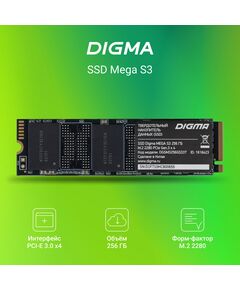 Купить SSD-накопитель Digma 256Gb Mega S3 PCIe 3.0 x4 M.2 2280 [DGSM3256GS33T], изображение 6 в интернет-магазине Irkshop.ru