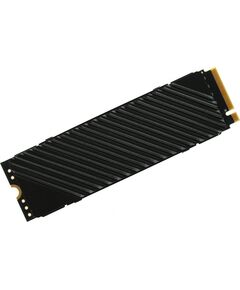 Купить SSD-накопитель Digma 512Gb Top G3 PCIe 4.0 x4 M.2 2280 [DGST4512GG33T] в интернет-магазине Irkshop.ru