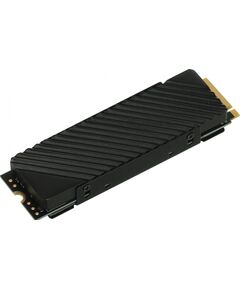 Купить SSD-накопитель Digma 1Tb Top G3 PCIe 4.0 x4 M.2 2280 [DGST4001TG33T], изображение 2 в интернет-магазине Irkshop.ru