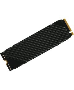 Купить SSD-накопитель Digma 1Tb Top G3 PCIe 4.0 x4 M.2 2280 [DGST4001TG33T] в интернет-магазине Irkshop.ru