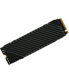 Купить SSD-накопитель Digma 2Tb Top G3 PCIe 4.0 x4 M.2 2280 [DGST4002TG33T] в интернет-магазине Irkshop.ru