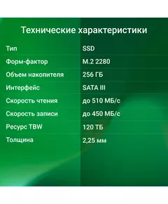 Купить SSD-накопитель Digma 256Gb Run S9 SATA-III M.2 2280 [DGSR1256GS93T], изображение 5 в интернет-магазине Irkshop.ru