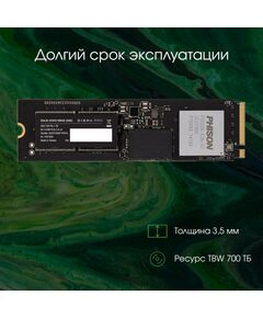 Купить SSD-накопитель Digma Pro 1Tb Top P6 PCIe 5.0 x4 M.2 2280 [DGPST5001TP6T4], изображение 8 в интернет-магазине Irkshop.ru