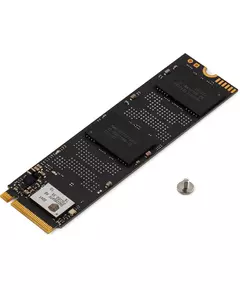 Купить SSD-накопитель Digma 1Tb Meta S69 PCIe 4.0 x4 M.2 2280 [DGSM4001TS69T], изображение 5 в интернет-магазине Irkshop.ru