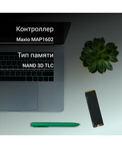 Купить SSD-накопитель Digma 1Tb Meta M6 PCIe 4.0 x4 M.2 2280 [DGSM4001TM63T], изображение 8 в интернет-магазине Irkshop.ru